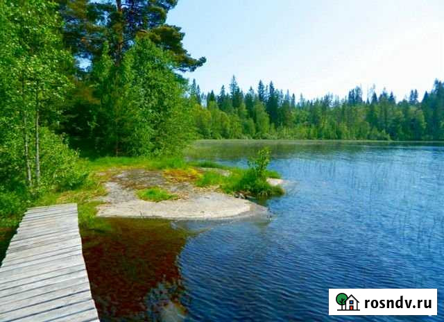 Участок СНТ, ДНП 400 сот. на продажу в Лахденпохье Лахденпохья - изображение 1