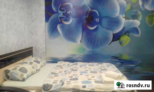 1-комнатная квартира, 78 м², 1/5 эт. в аренду посуточно в Похвистнево Похвистнево - изображение 1