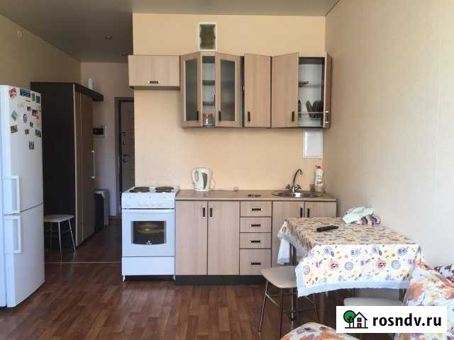 Квартира-студия, 26.8 м², 6/10 эт. в аренду на длительный срок в Засечном Засечное - изображение 1