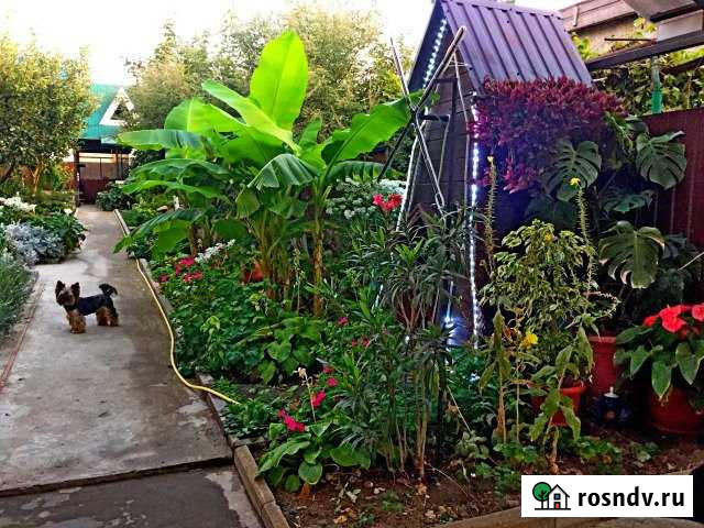 Дом 135 м² на участке 8 сот. в аренду посуточно в Геленджике Геленджик - изображение 1