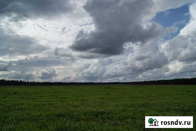 Участок СНТ, ДНП 230 сот. на продажу в Кипене Кипень - изображение 1