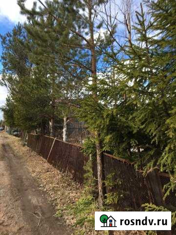 Дача 20 м² на участке 6 сот. на продажу в Шлиссельбурге Шлиссельбург - изображение 1