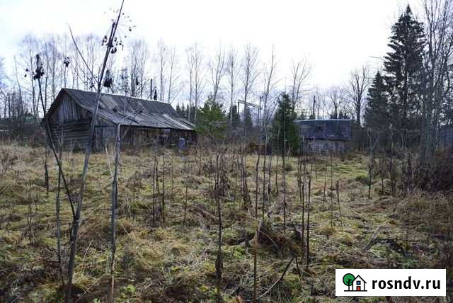 Участок ИЖС 20 сот. на продажу в Сылве Сылва - изображение 1