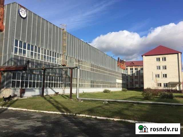 Производственное помещение, 8833.85 кв.м. Тюмень - изображение 1