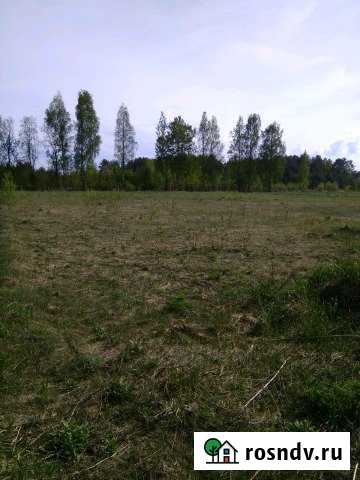 Участок ИЖС 50 сот. на продажу в Великих Луках Великие Луки - изображение 1