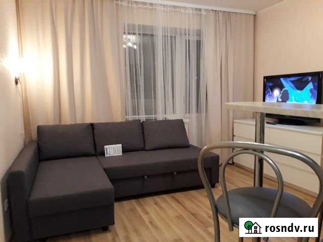 Квартира-студия, 22 м², 7/17 эт. в аренду посуточно в Мурино Мурино - изображение 1