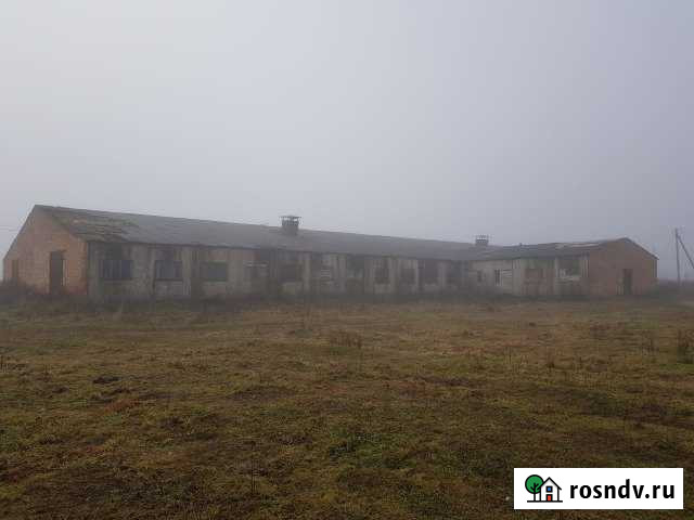 Производственное и складское помещение, 2000 кв.м. Рославль - изображение 1