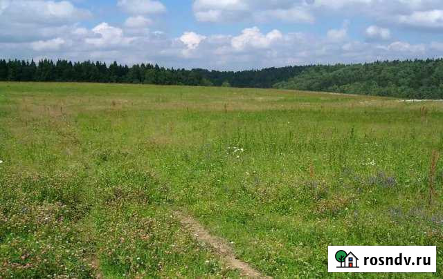 Участок ИЖС 30 сот. на продажу в Буревестнике Буревестник - изображение 1