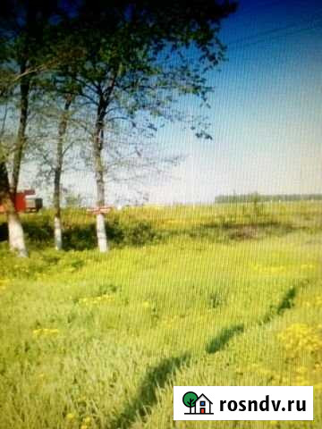 Участок СНТ, ДНП 15 сот. на продажу в Короче Короча - изображение 1