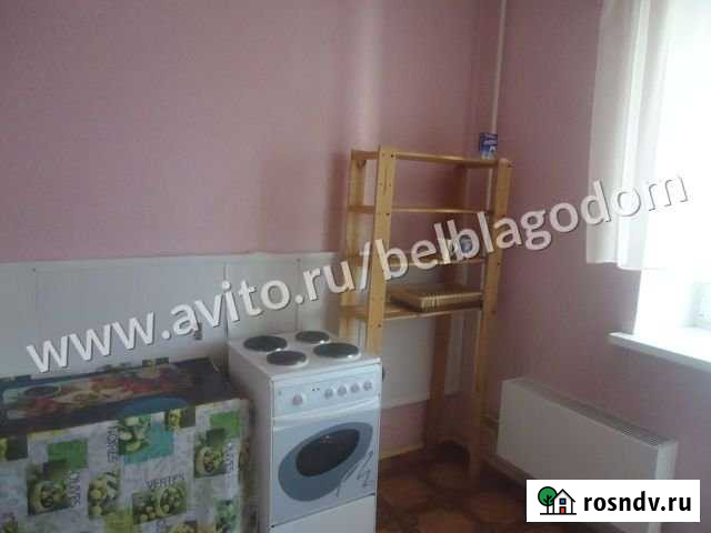 1-комнатная квартира, 36 м², 3/10 эт. в аренду на длительный срок в Белгороде Белгород - изображение 1
