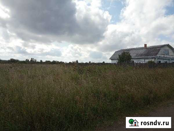 Участок ИЖС 40 сот. на продажу в Каслях Касли - изображение 1