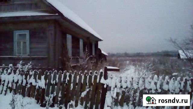 Дом 60 м² на участке 50 сот. на продажу в Оленино Оленино - изображение 1