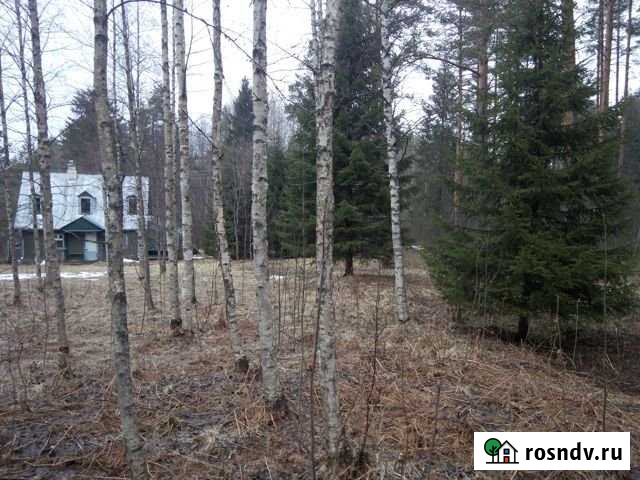 Участок ИЖС 24 сот. на продажу в Первомайском Ленинградской области Первомайское - изображение 1