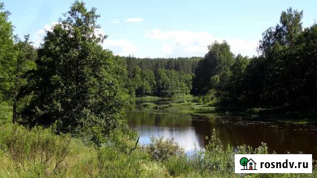 Участок ИЖС 3962 сот. на продажу в Камешково Камешково - изображение 1