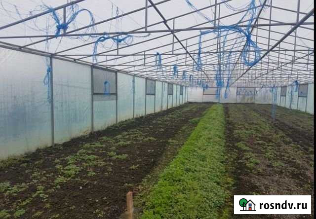 Участок ИЖС 24 сот. на продажу в Майкопском Майкопское - изображение 1