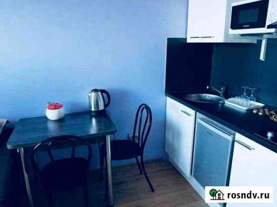 1-комнатная квартира, 25 м², 10/16 эт. в аренду на длительный срок в Барнауле Барнаул