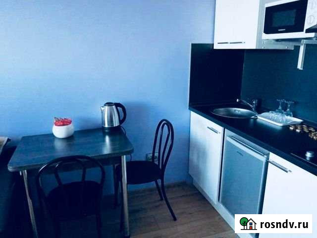 1-комнатная квартира, 25 м², 10/16 эт. в аренду на длительный срок в Барнауле Барнаул - изображение 1
