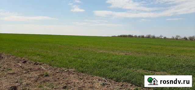 Участок СНТ, ДНП 4500 сот. на продажу в Черноморском Республики Крым Черноморское - изображение 1