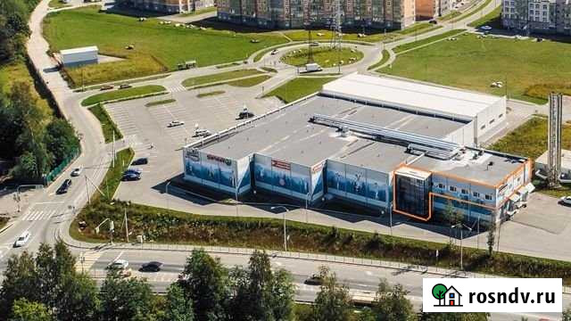 Помещение свободного назначения, 350 кв.м. Сертолово - изображение 1
