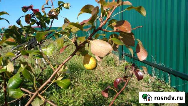 Дача 32 м² на участке 11 сот. на продажу в Заокском Заокский - изображение 1