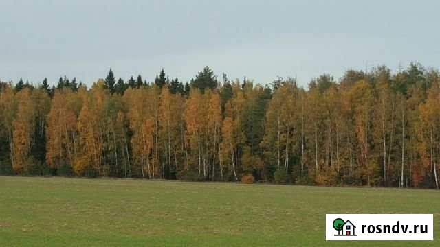 Участок ИЖС 10 сот. на продажу в Жукове Жуков - изображение 1