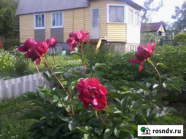 Дача 46 м² на участке 5 сот. на продажу в Елизово Елизово - изображение 1