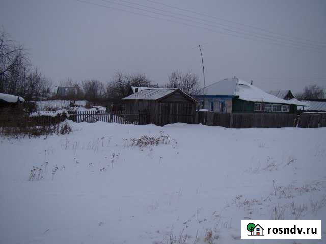 Дом 53 м² на участке 31 сот. на продажу в Павловске Алтайского края Павловск - изображение 1