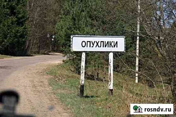 Участок ИЖС 30 сот. на продажу в Невеле Невель