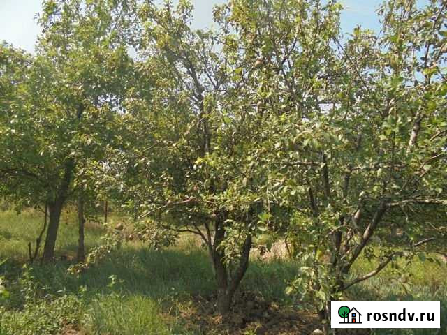 Участок СНТ, ДНП 9 сот. на продажу в Астрахани Астрахань - изображение 1