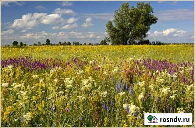 Участок СНТ, ДНП 115 сот. на продажу в Сылве Сылва - изображение 1