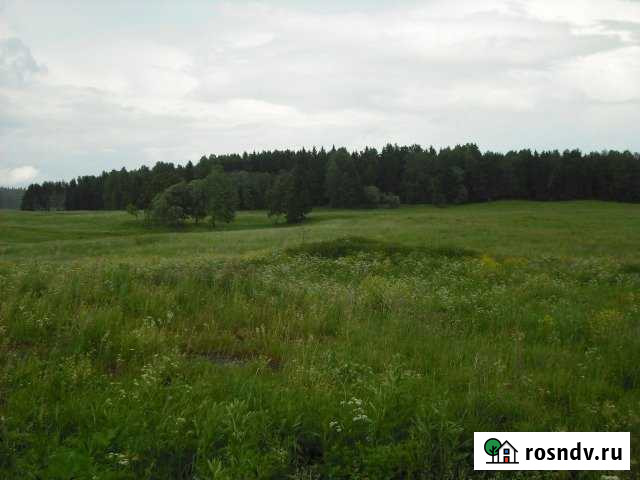 Участок СНТ, ДНП 245 сот. на продажу в Бегуницах Бегуницы - изображение 1