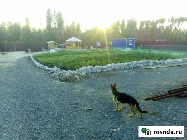 Дача 20 м² на участке 12 сот. на продажу в Чусовом Чусовой - изображение 1