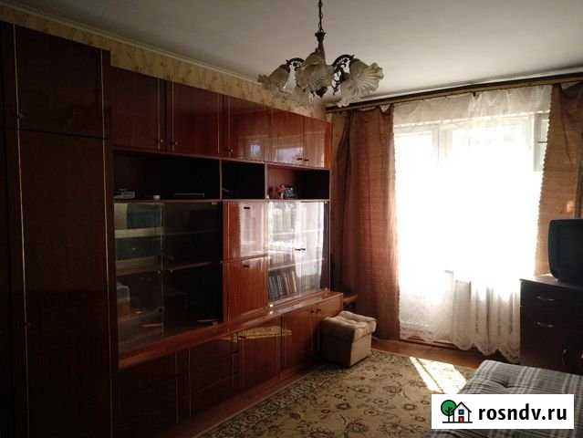 1-комнатная квартира, 33 м², 5/5 эт. в аренду на длительный срок в Новом Свете Ленинградской области Новый Свет - изображение 1