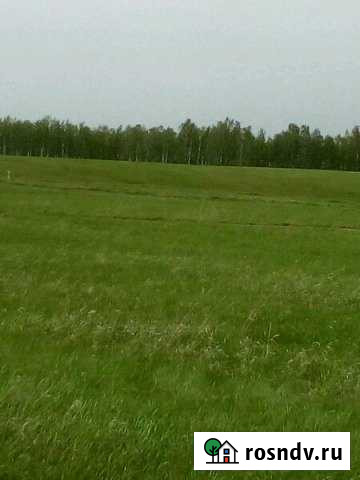 Участок СНТ, ДНП 14 сот. на продажу в Емельяново Емельяново - изображение 1