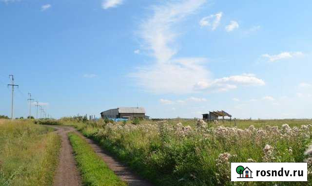 Участок СНТ, ДНП 270 сот. на продажу в Новокузнецке Новокузнецк - изображение 1