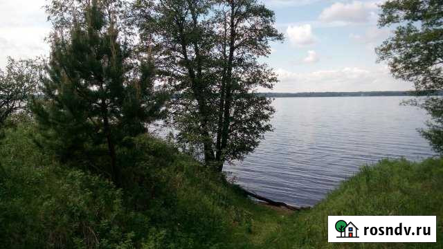 Участок ИЖС 60 сот. на продажу в Селижарово Селижарово - изображение 1