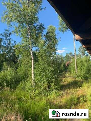 Участок СНТ, ДНП 20 сот. на продажу в Песочном Песочное - изображение 1