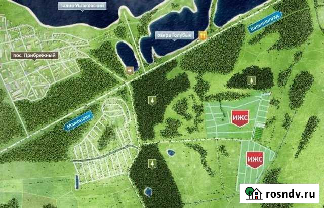 Участок СНТ, ДНП 15 сот. на продажу в Калининграде Калининград - изображение 1