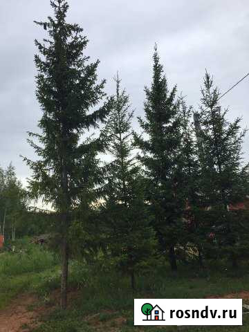 Участок ИЖС 10 сот. на продажу в Лаишево Лаишево - изображение 1