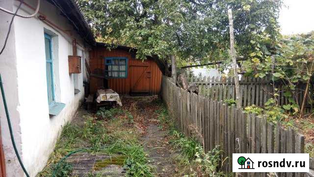 Дом 45 м² на участке 5 сот. на продажу в Вейделевке Вейделевка - изображение 1