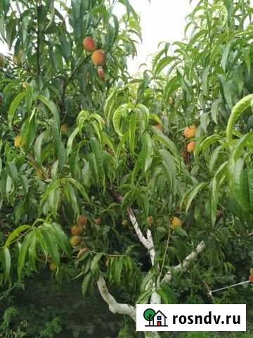 Участок ИЖС 15 сот. на продажу в Магарамкенте Магарамкент - изображение 1