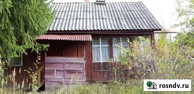 Дача 35.6 м² на участке 6 сот. на продажу в Толмачево Ленинградской области Толмачево - изображение 1