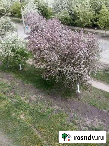 1-комнатная квартира, 36 м², 4/5 эт. на продажу в Рощино Челябинской области Рощино - изображение 1