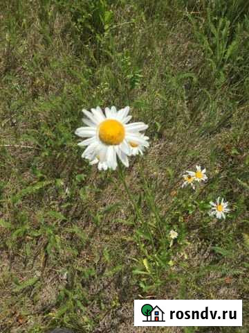 Участок СНТ, ДНП 10 сот. на продажу в Лесниково Лесниково - изображение 1