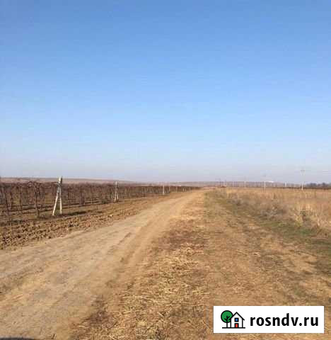 Участок СНТ, ДНП 187 сот. на продажу в Вышестеблиевской Вышестеблиевская - изображение 1