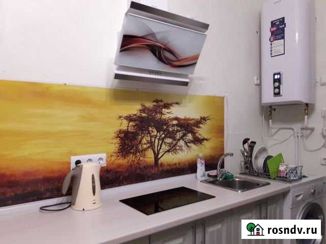 1-комнатная квартира, 22 м², 2/3 эт. в аренду посуточно во Владивостоке Владивосток - изображение 1