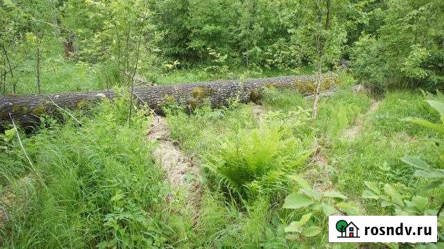 Участок СНТ, ДНП 10 сот. на продажу в Любане Любань - изображение 1