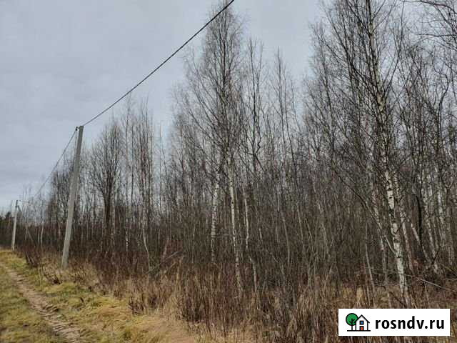 Участок СНТ, ДНП 10 сот. на продажу в Панковке Панковка - изображение 1