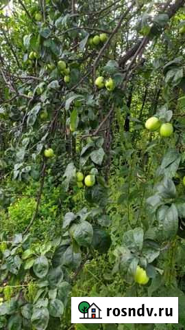 Дача 40 м² на участке 14 сот. на продажу в Новокузнецке Новокузнецк - изображение 1