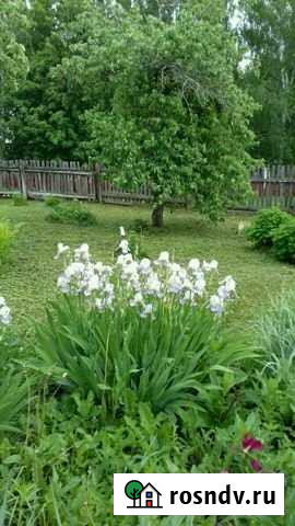 Дом 65 м² на участке 16 сот. на продажу в Дальнем Константиново Дальнее Константиново - изображение 1